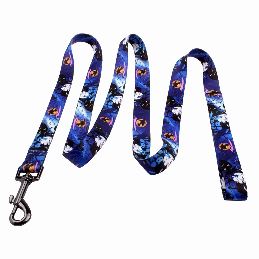 best dog leashes