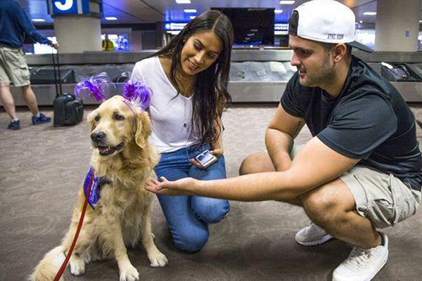 special pet service