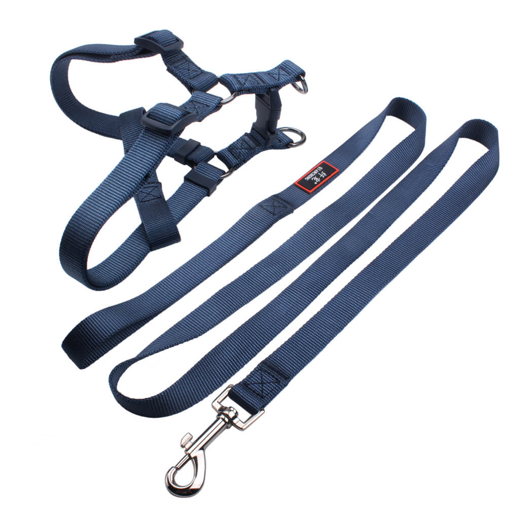 dog harness & leash factory