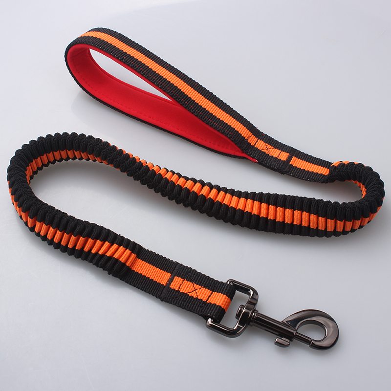 spring pet leash