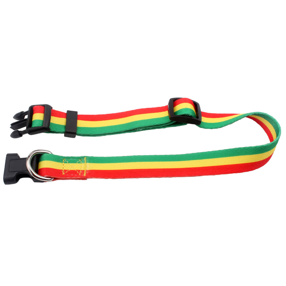 custom dog collars