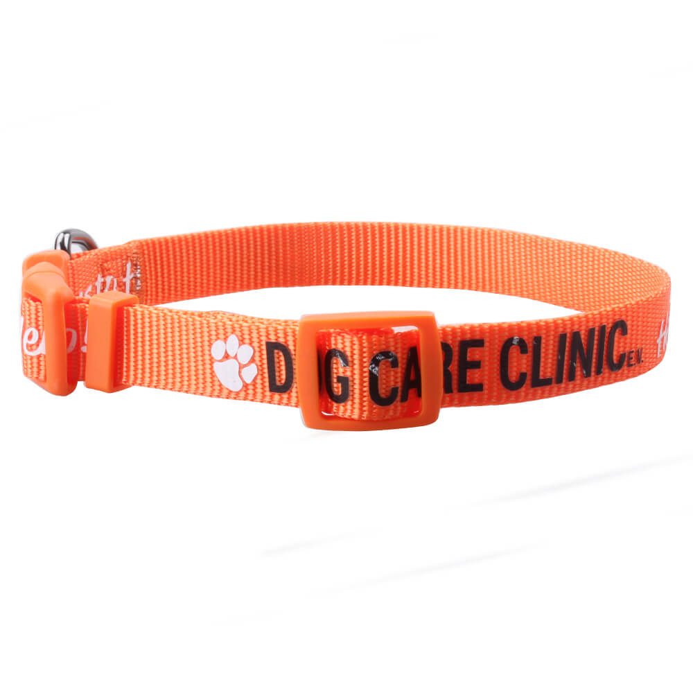 best puppy collars
