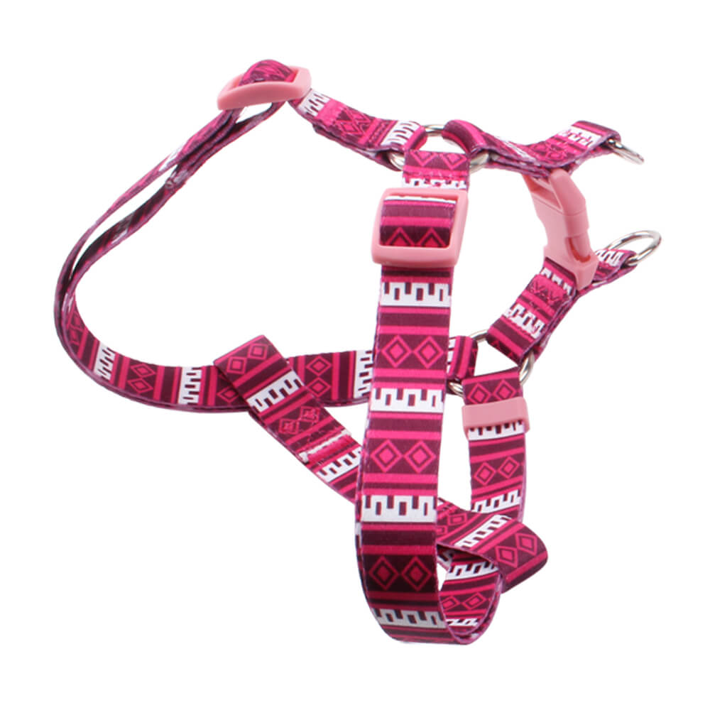 dog walking harness supply