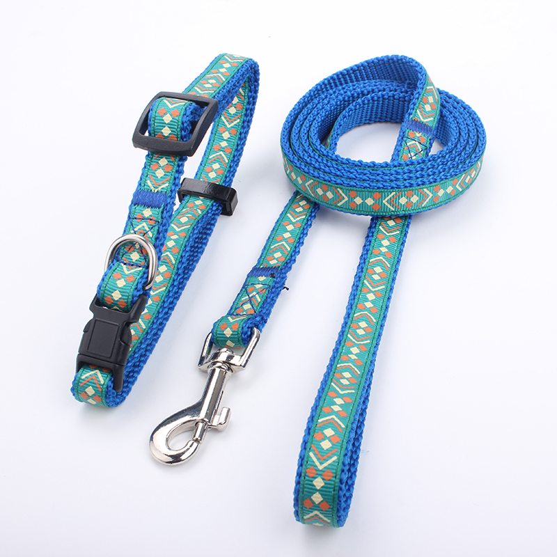 custom dog collar leash