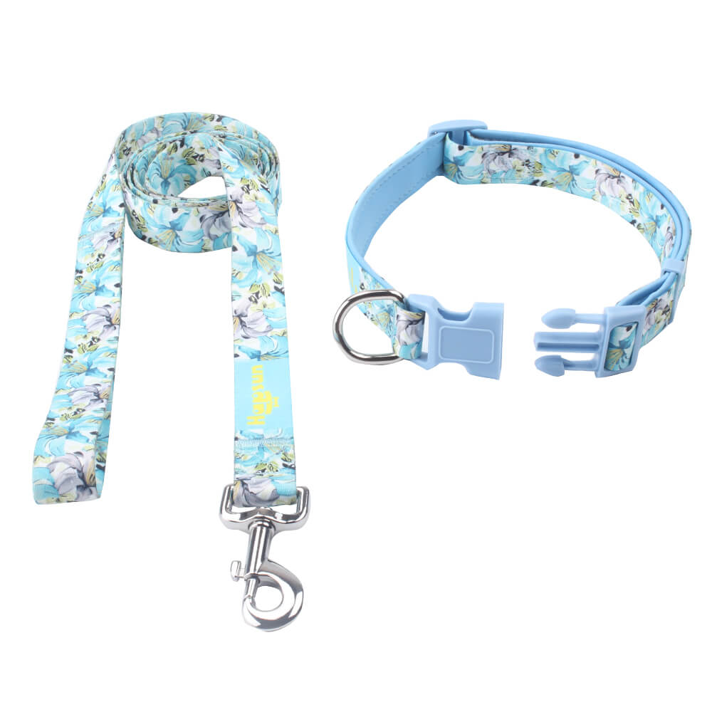 dog collar & leash wholesale