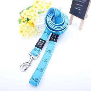 nylon dog leash