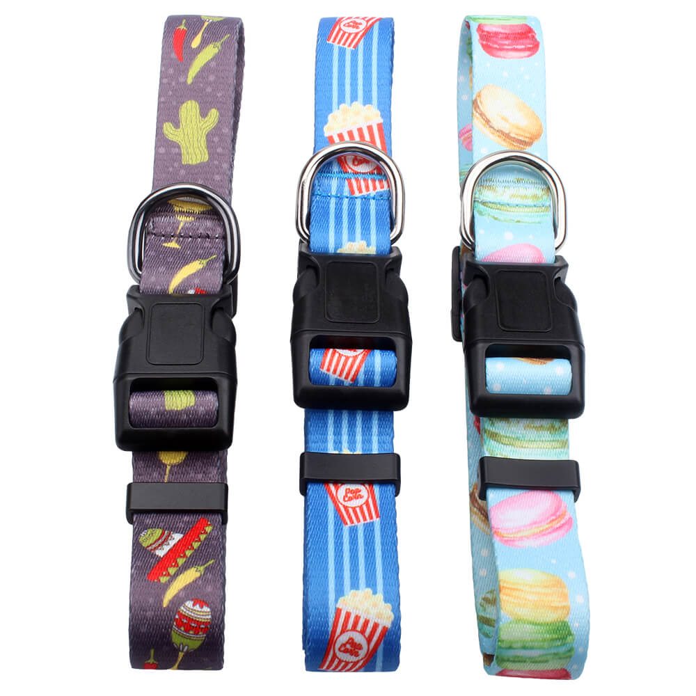 unique pet collar supply