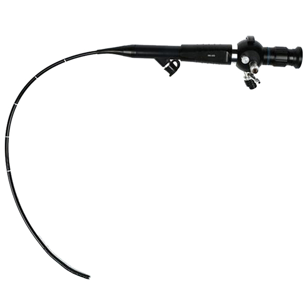 Portable ENT Endoscope