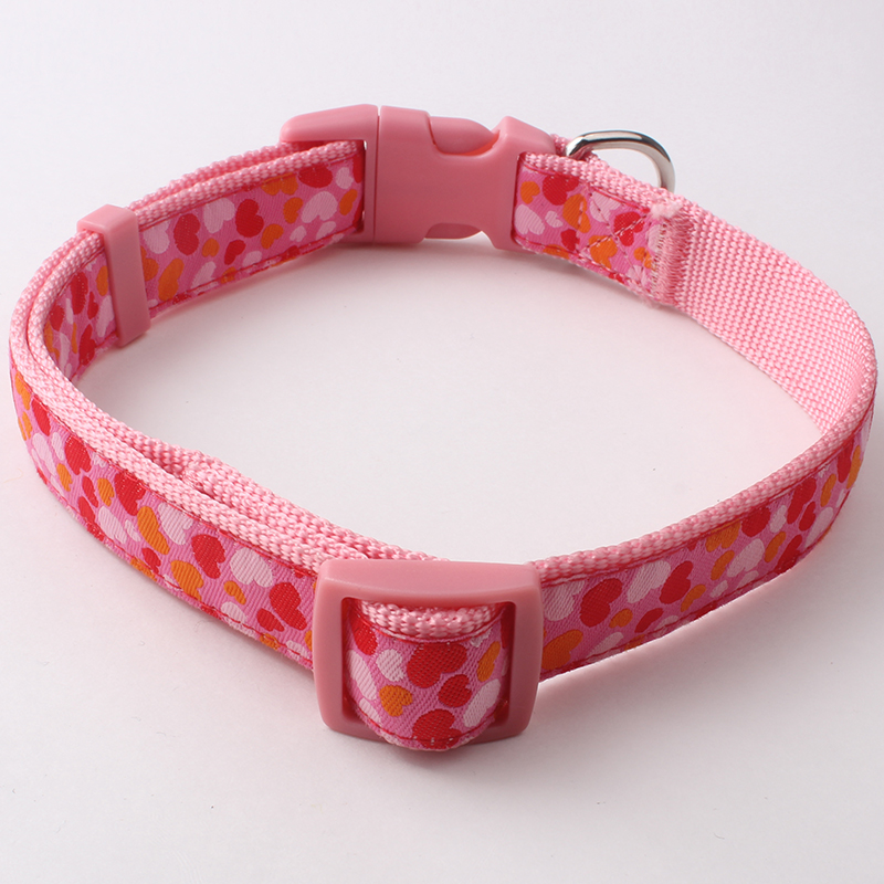 nylon dog collar factory