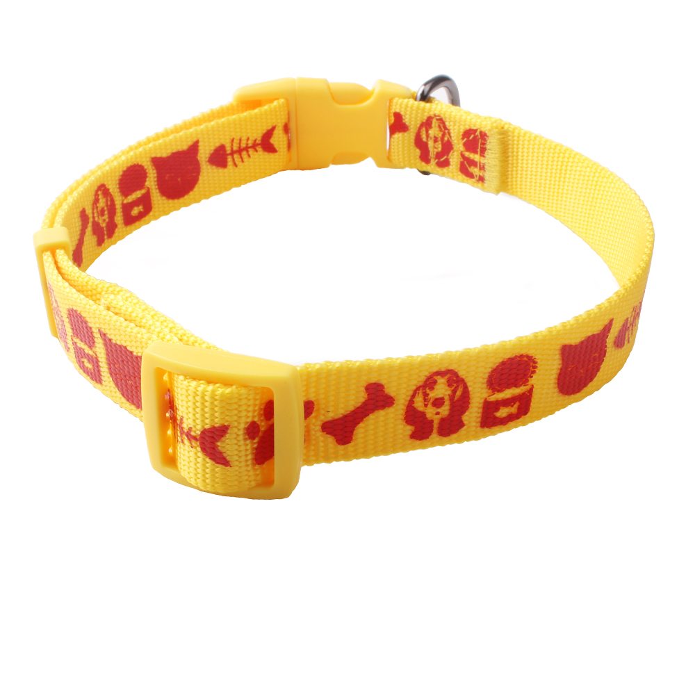 training dog collars supplier