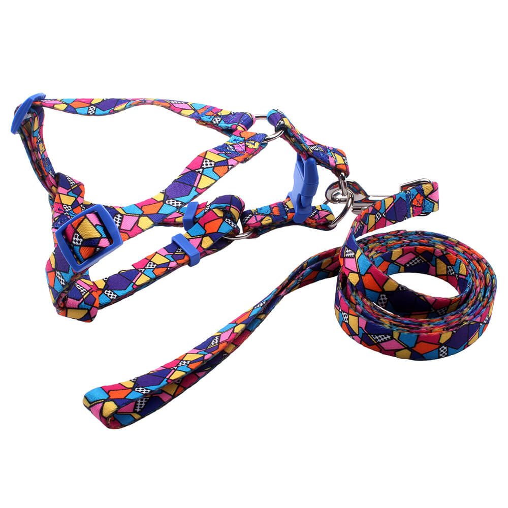 dog harness&leash wholesale
