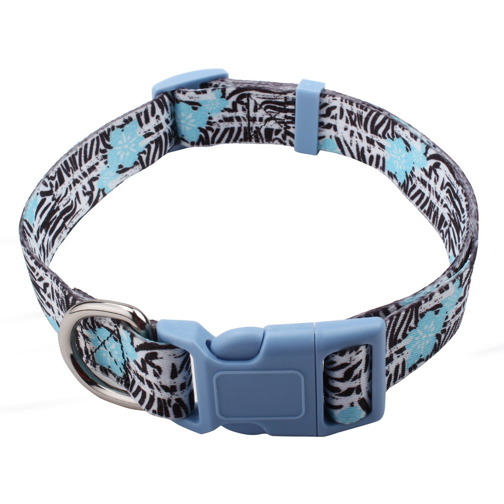 design pet collar