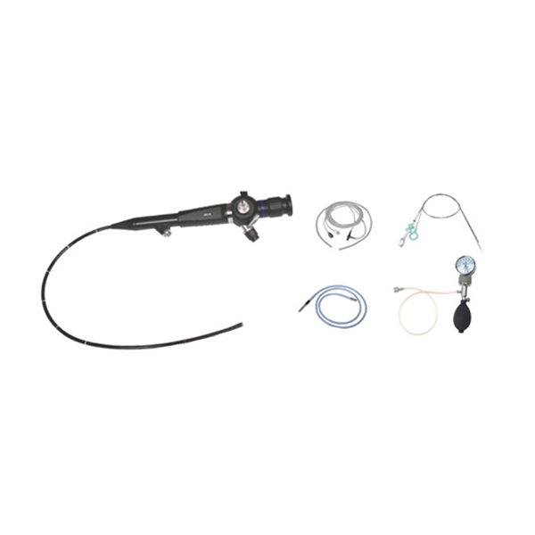Portable ENT Endoscope