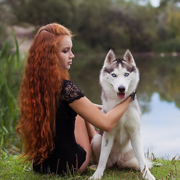 adopt dogs