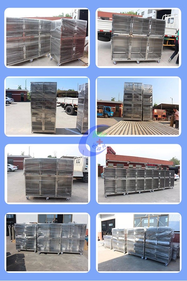 cage veterinary equipment