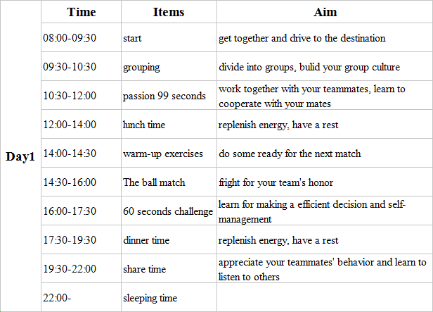 development activity