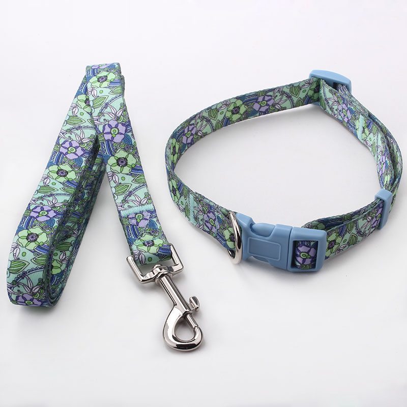 collar&leash factory wholesale