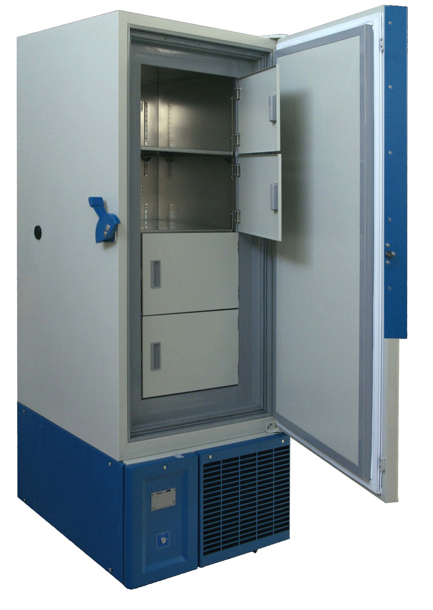 DW-HL388-3.jpg