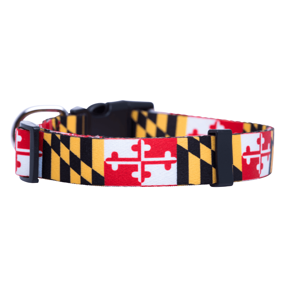 dog training collar wholesale dog training collar