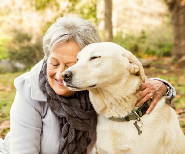 smartest dog collars leashes
