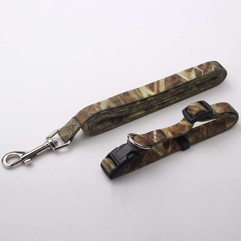 puppy collar&lead
