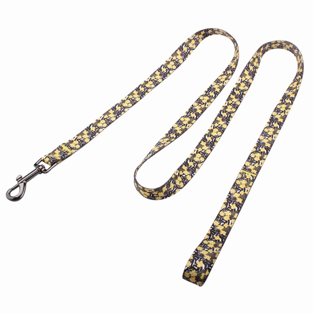 dog training leads