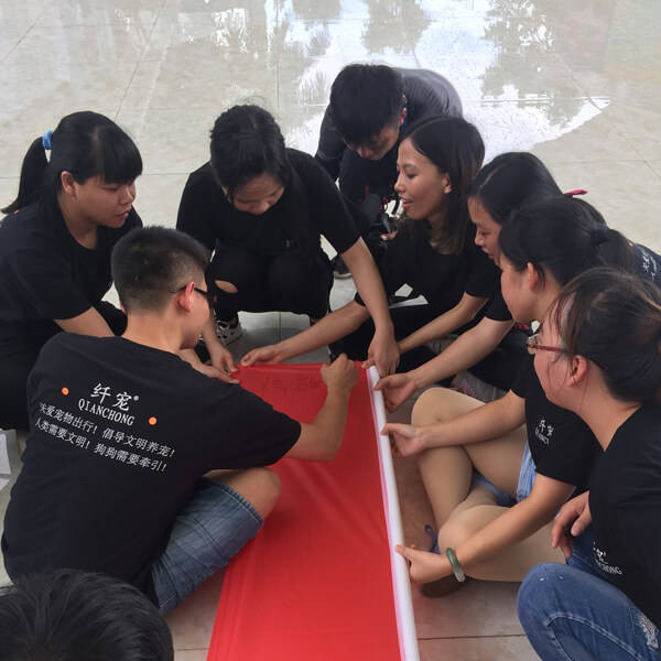 development activity
