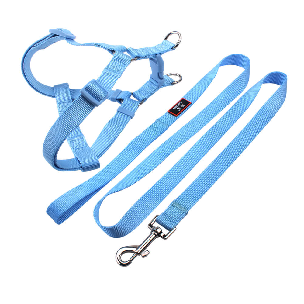 best dog harness & leash