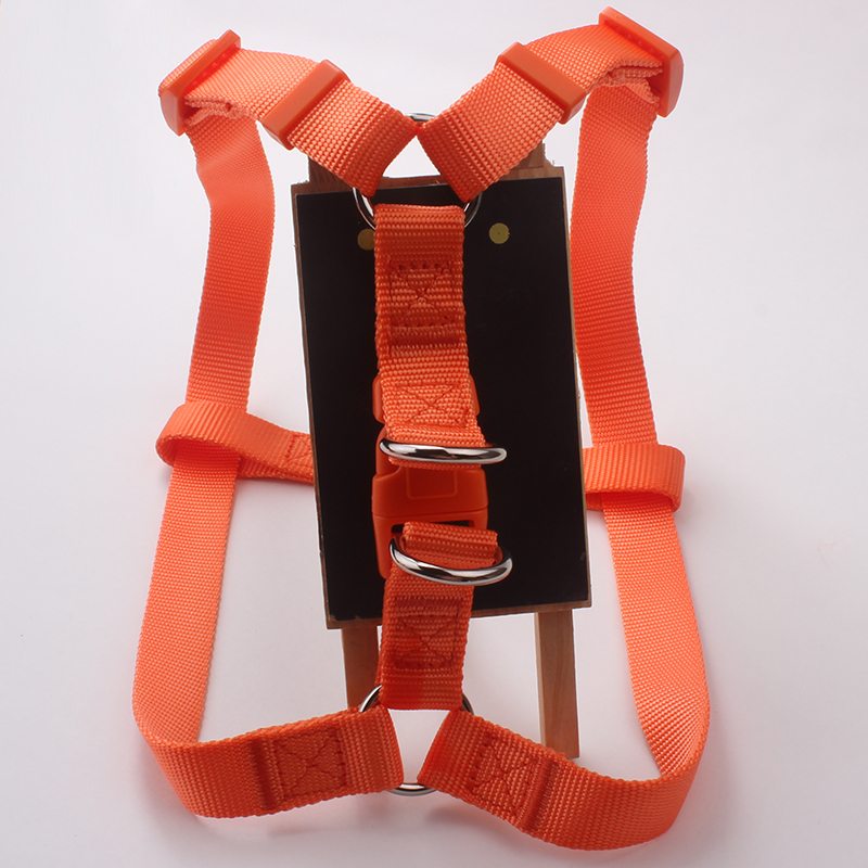 free sample dog harnesses